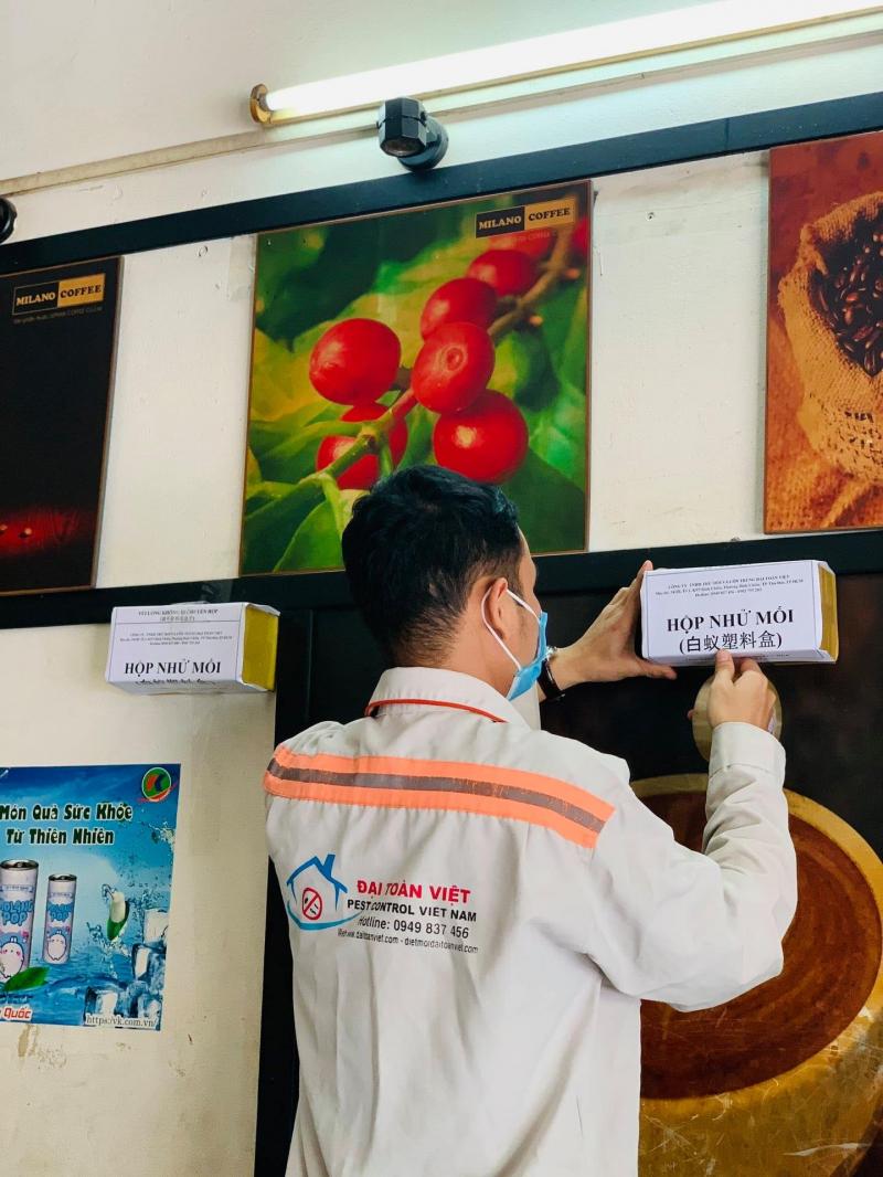 Công ty diệt Mối Đại Toàn Việt