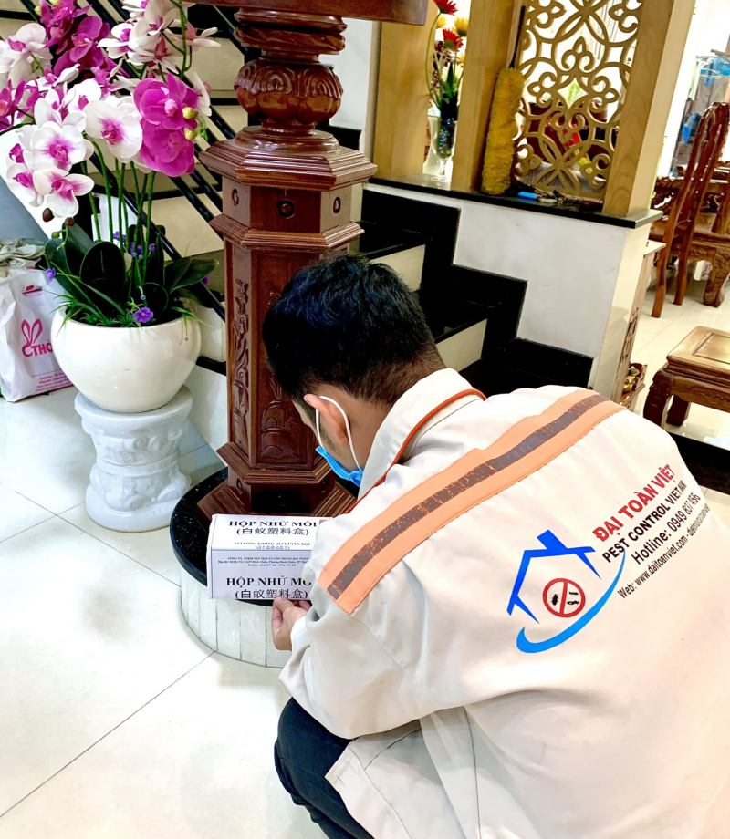 Công ty diệt Mối Đại Toàn Việt