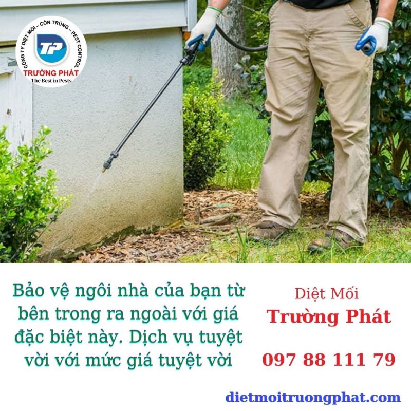 Diệt Mối Và Diệt Côn Trùng Trường Phát