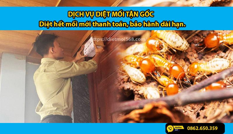 Dietmoi568