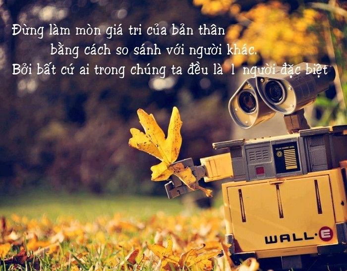 Hãy buông bỏ sự so sánh