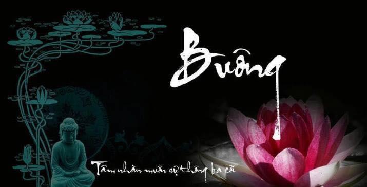 Buông bỏ cuộc sống theo mong đợi của người khác