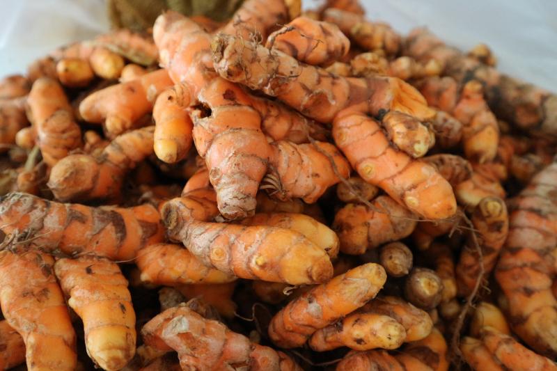 Điều kinh từ nghệ vàng