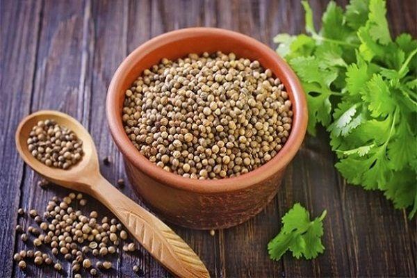 Điều kinh từ rau mùi