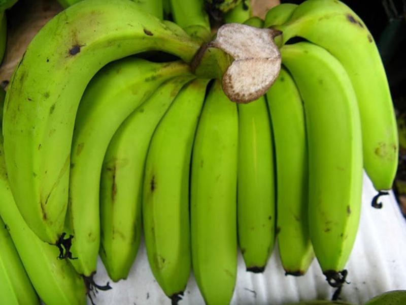 Điều trị bệnh hắc lào