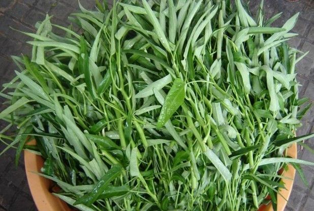 Điều trị bệnh về da