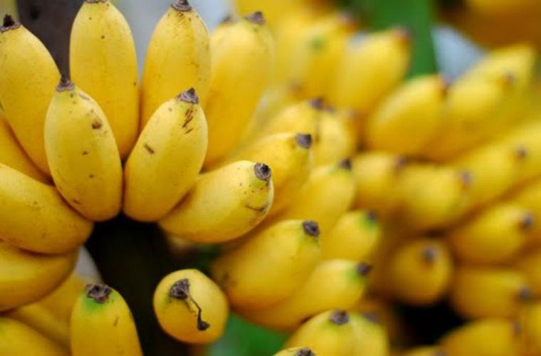 Điều trị huyết áp cao