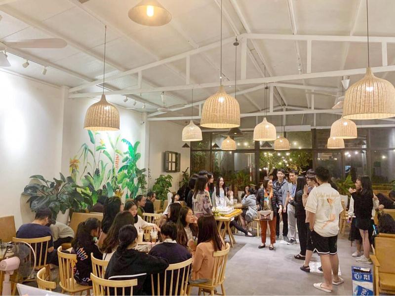 Dingtea Sầm Sơn