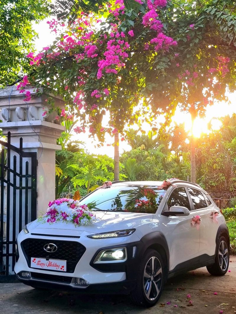 DNTN Chi Mai Car