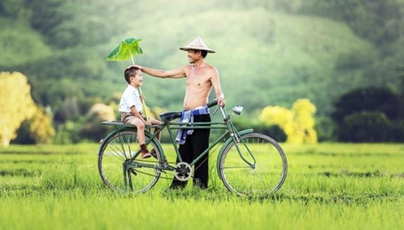 Đoạn văn nghị luận viết về tình cảm gia đình số 1
