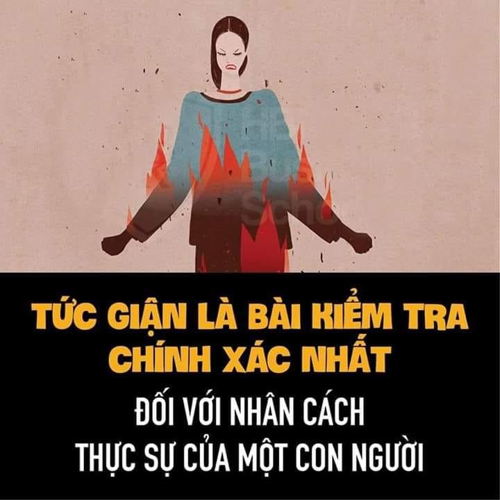 Đoạn văn số 3