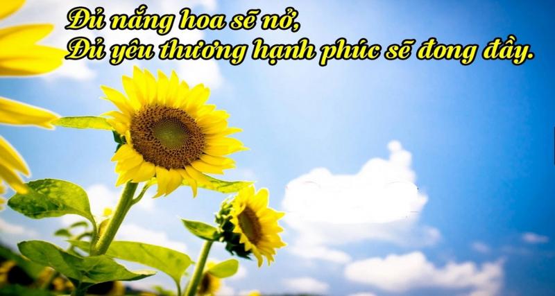 Đoạn văn về tình yêu thương con người số 7