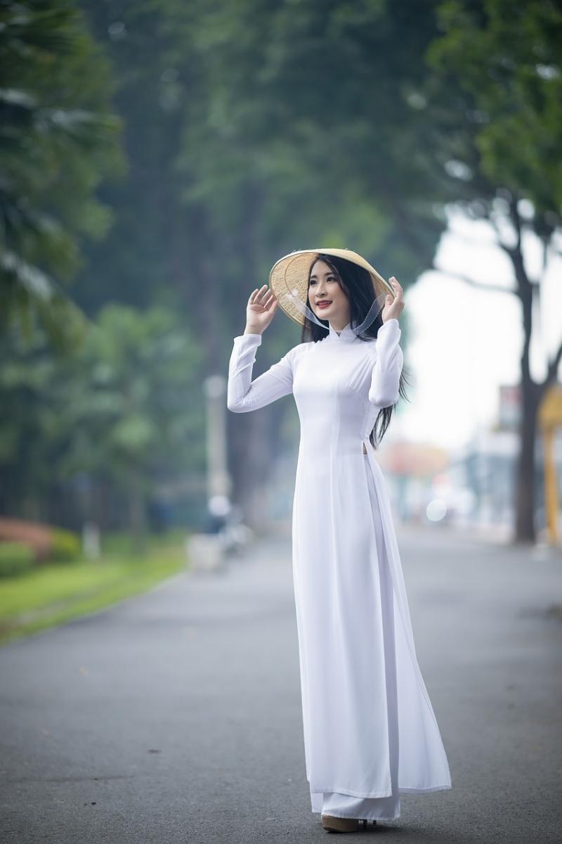 Hình minh hoạ