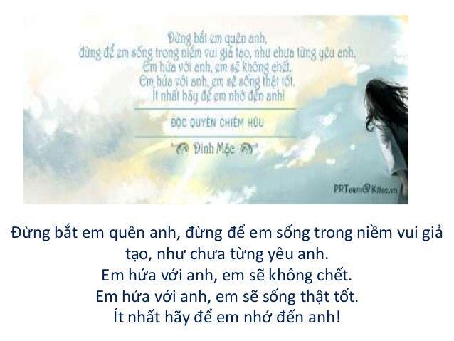 Độc quyền chiếm hữu - Đinh Mặc
