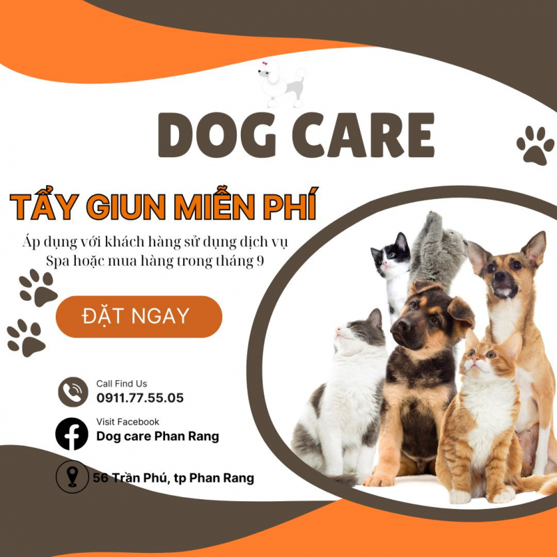 Dog Care