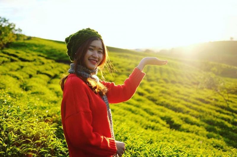 Đồi chè Cầu Đất