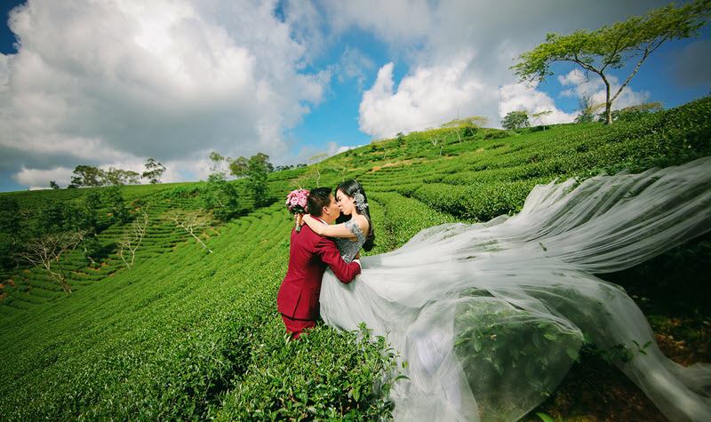 Ảnh cưới tại đồi chè Cầu Đất Đà Lạt