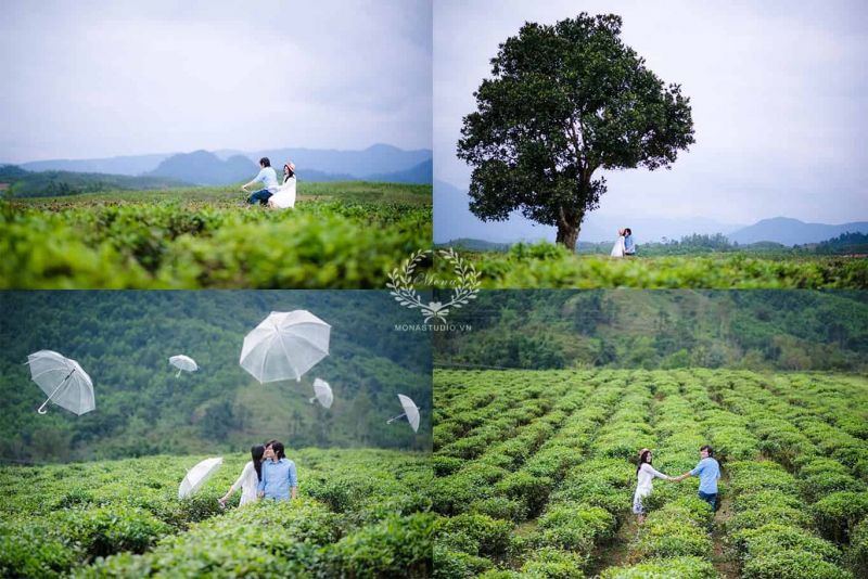 Đồi chè Đông Giang