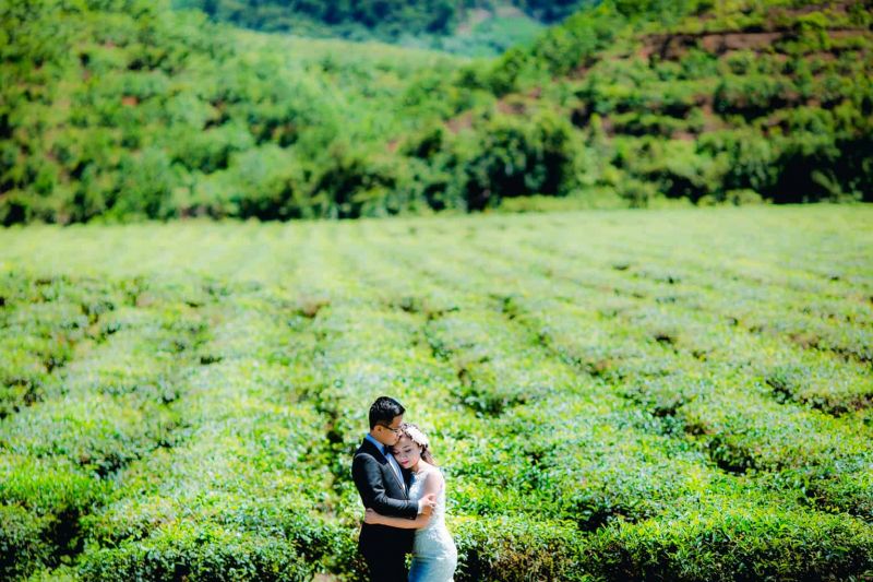 Đồi chè Đông Giang