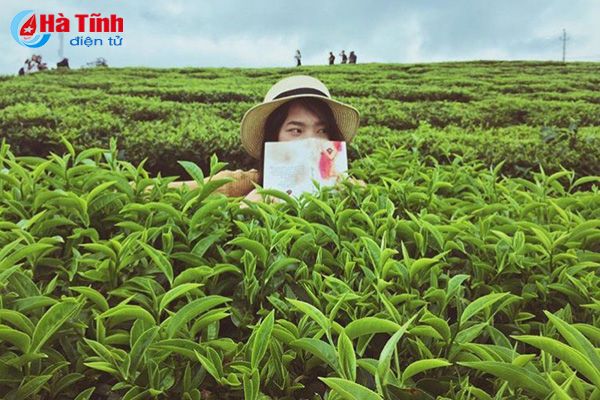 Đồi chè Hương Trà chắc chắn là địa điểm ghi lại những khoảnh khắc đẹp của bạn