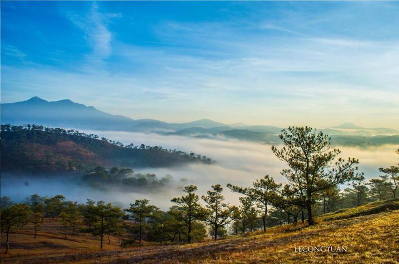 Đồi Thiên Phúc Đức