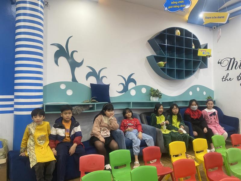 Dolphin English