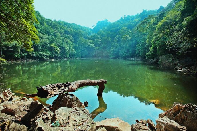 Không gian yên tĩnh hòa mình với thiên nhiên của động