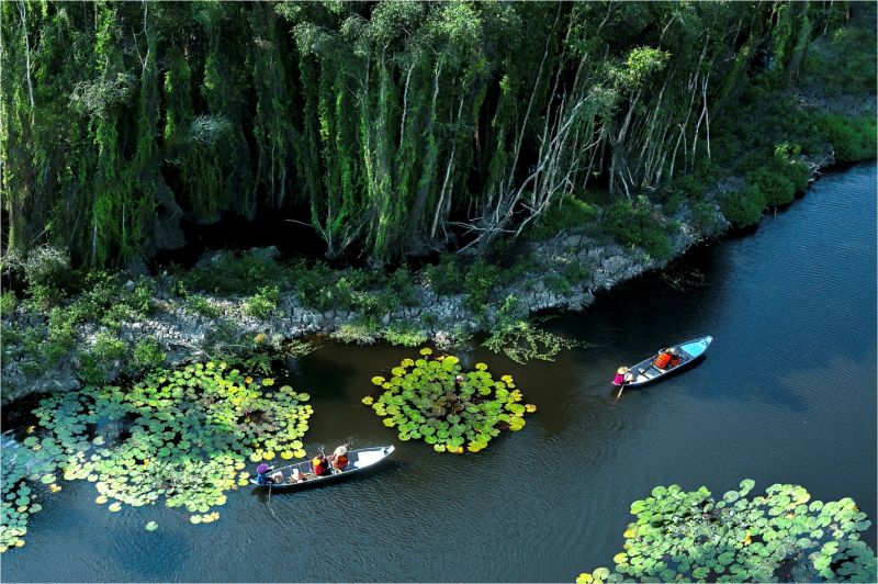 Đồng Tháp Mười