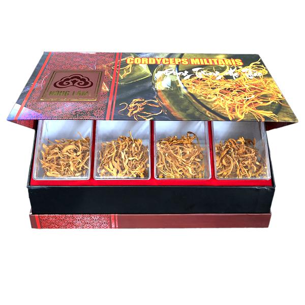 Đông trùng hạ thảo Nông Lâm