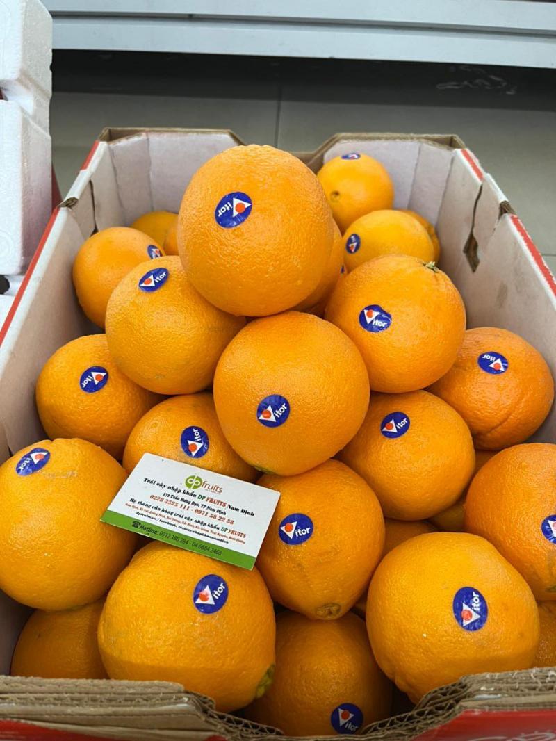 DP Fruits - Trái cây nhập khẩu Nam Định