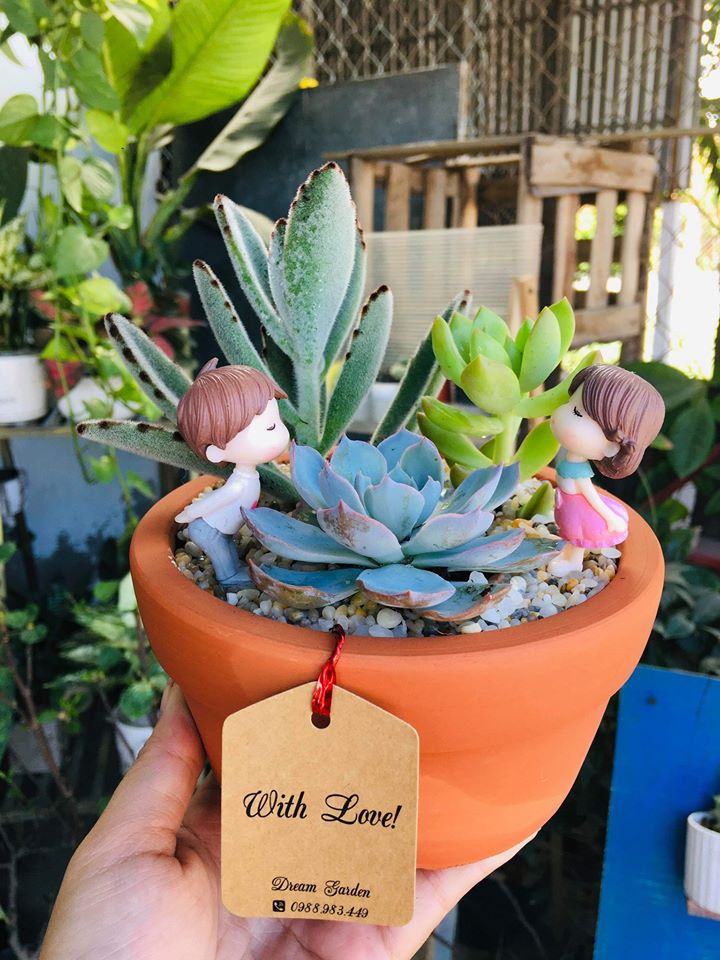 Dream Garden