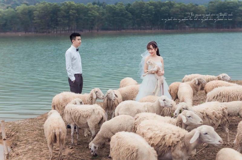 DREAM Wedding