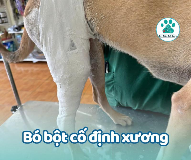 Dr.Thảo Pet Care