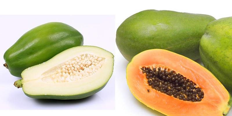 Đu đủ lợi sữa và  chống táo bón hiệu quả.