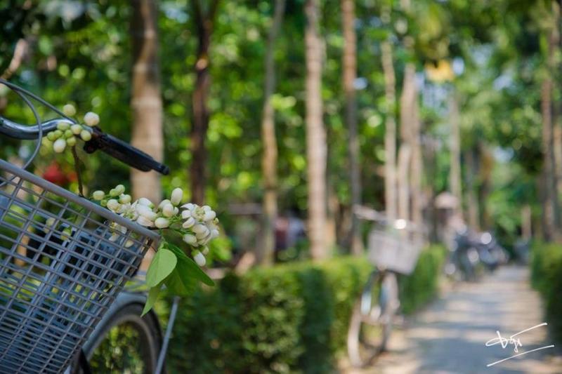 Đặc biệt, đạp xe dạo quanh làng và dừng chân ghé thăm các làng nghề làm rượu gạo, làm hương trầm hay làng nghề làm giấy vàng mã.