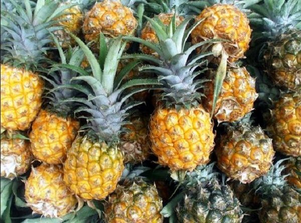 Dứa Đồng Giao - đặc sản trái cây Ninh Bình