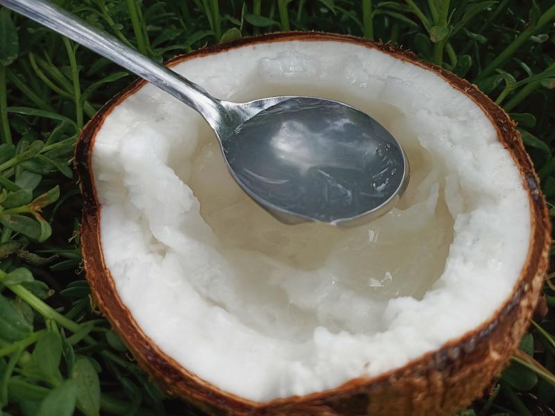 Với sự phong phú về chất dinh dưỡng và hương vị độc đáo, dừa là một nguồn cung cấp vitamin C tự nhiên và thú vị để hỗ trợ sức khỏe và cung cấp năng lượng cho cơ thể của bạn