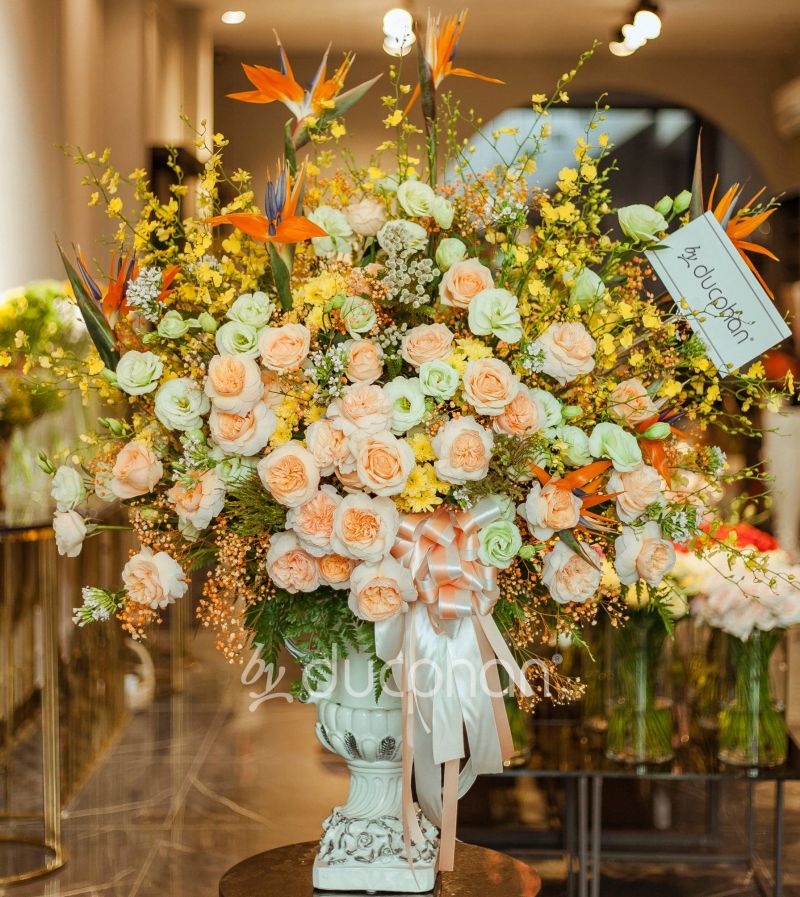 Duc Phan Flowers