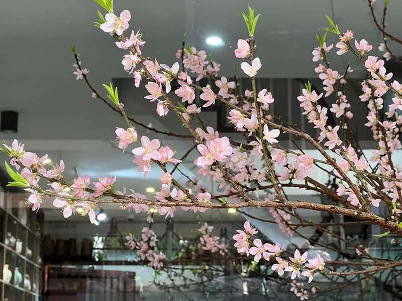 Văn khấn tổ tiên ngày mùng 1 Tết