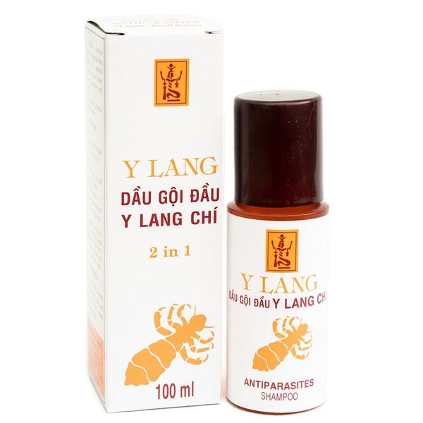 Dùng dầu gội trị chấy