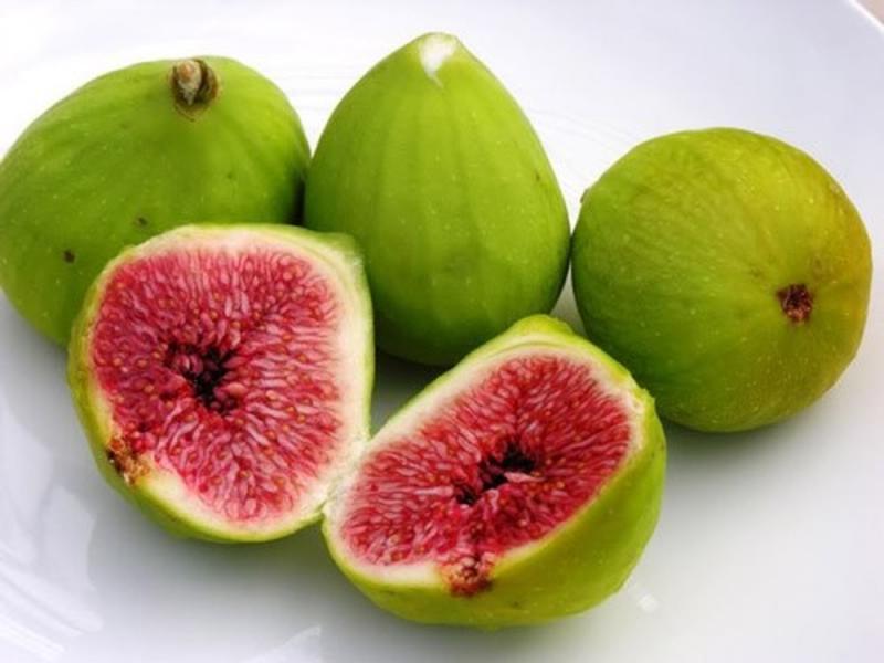 Nấu nước trái sung uống hàng ngày giúp điều trị ung thư hiệu quả