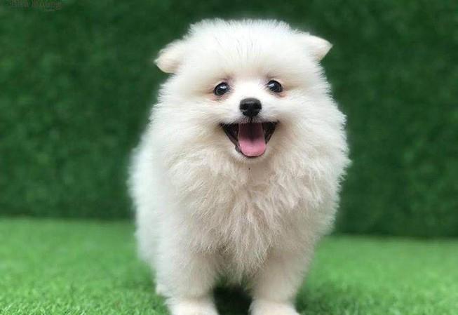 Được sự chấp thuận từ các thành viên gia đình