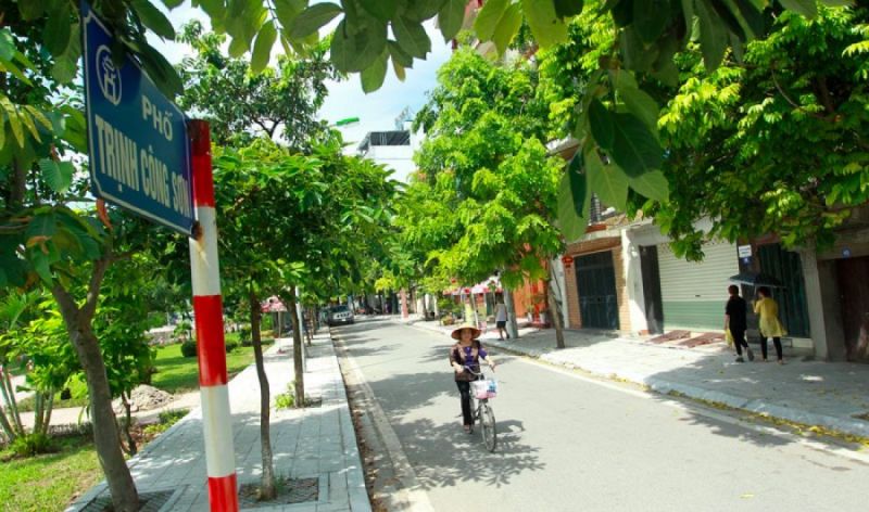 Phố Trinh Công Sơn