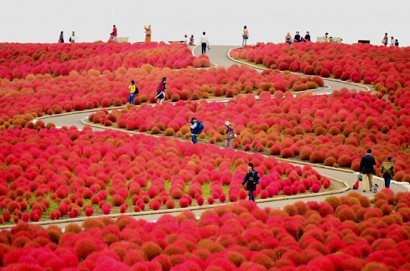 Địa điểm thu hút đông đảo du khách đến tham quan