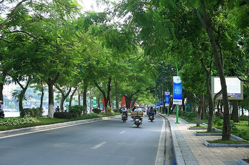 Đường Thanh Niên lượn cũng rất 