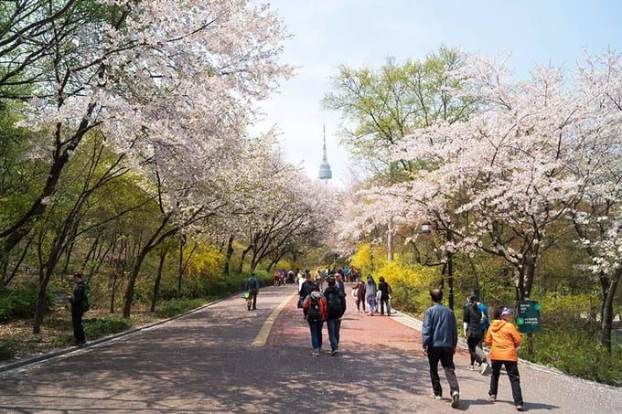 Đường Tròn của Công viên Namsan