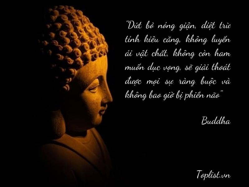 Biết dằn cơn giận đang lúc nổi lên, giống như người lái xe biết xe đang chạy quá mau thì bớt tốc độ lại. Như vậy mới là người lái xe giỏi