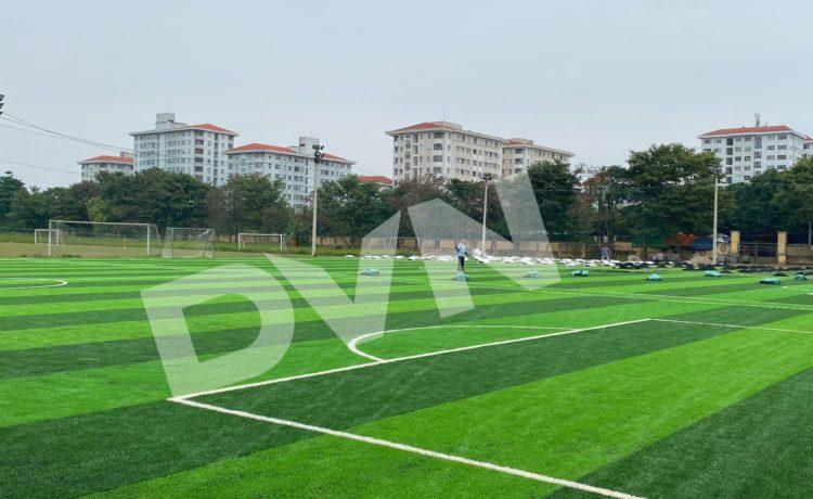 DVN Việt Nam