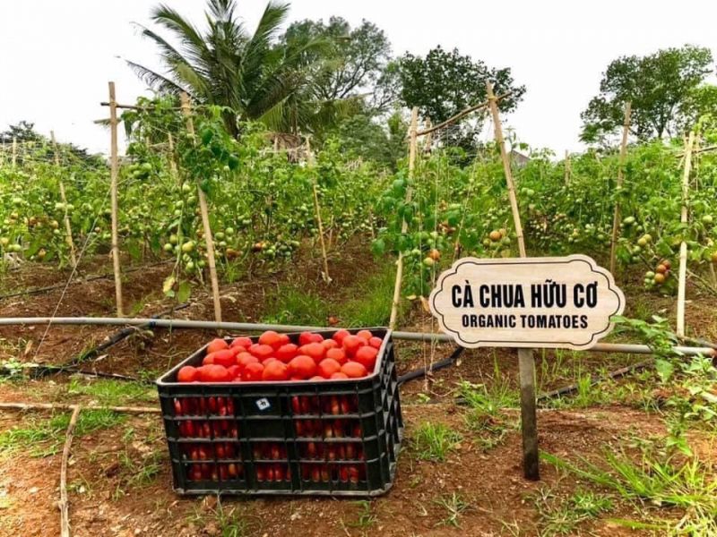 Thực phẩm hữu cơ của Eco Refill Văn Quán