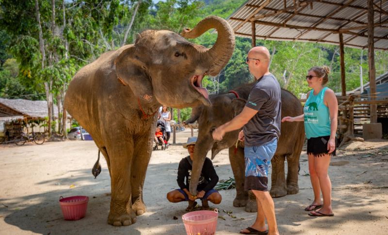 Elephant Retirement Park